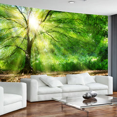 Simpkeely Sunlight Forest Tree Tapestry β Green Nature Wall Hanging Mural with Glowing Sun Rays Through Canopy, Tranquil Woodland Landscape Art for Bedroom & Living Room